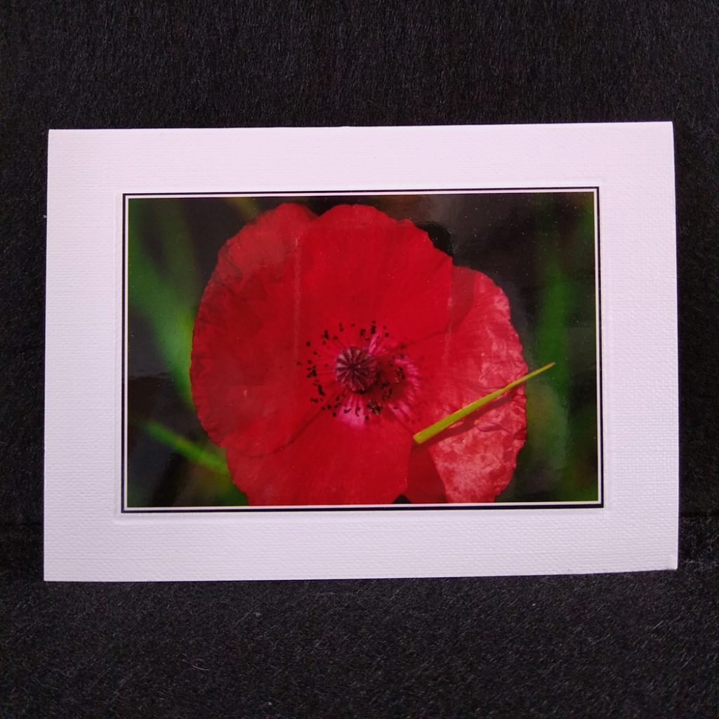 A6 card