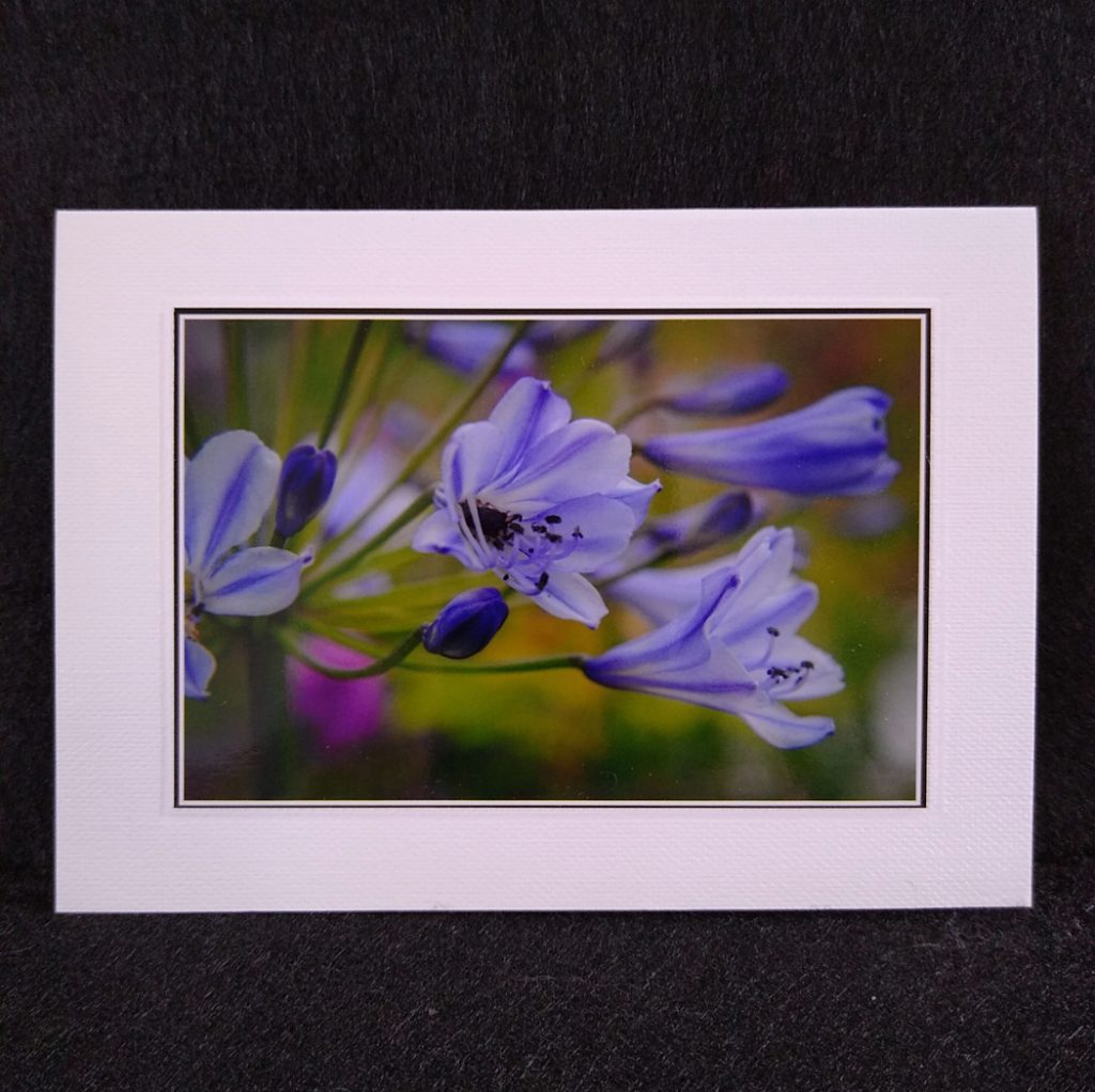 A6 card