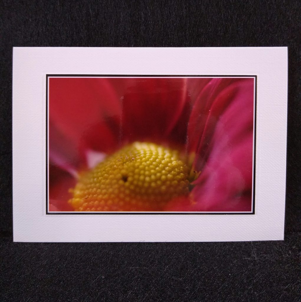 A6 card