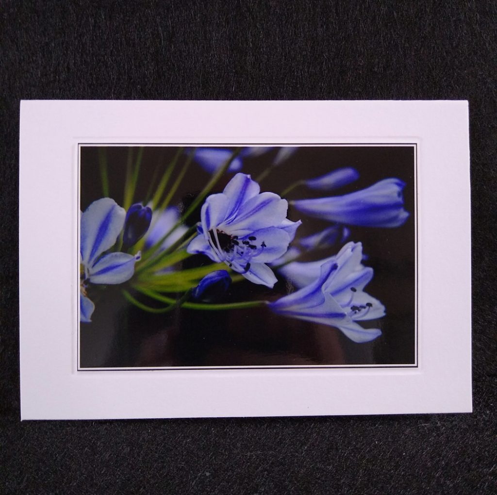 A6 card