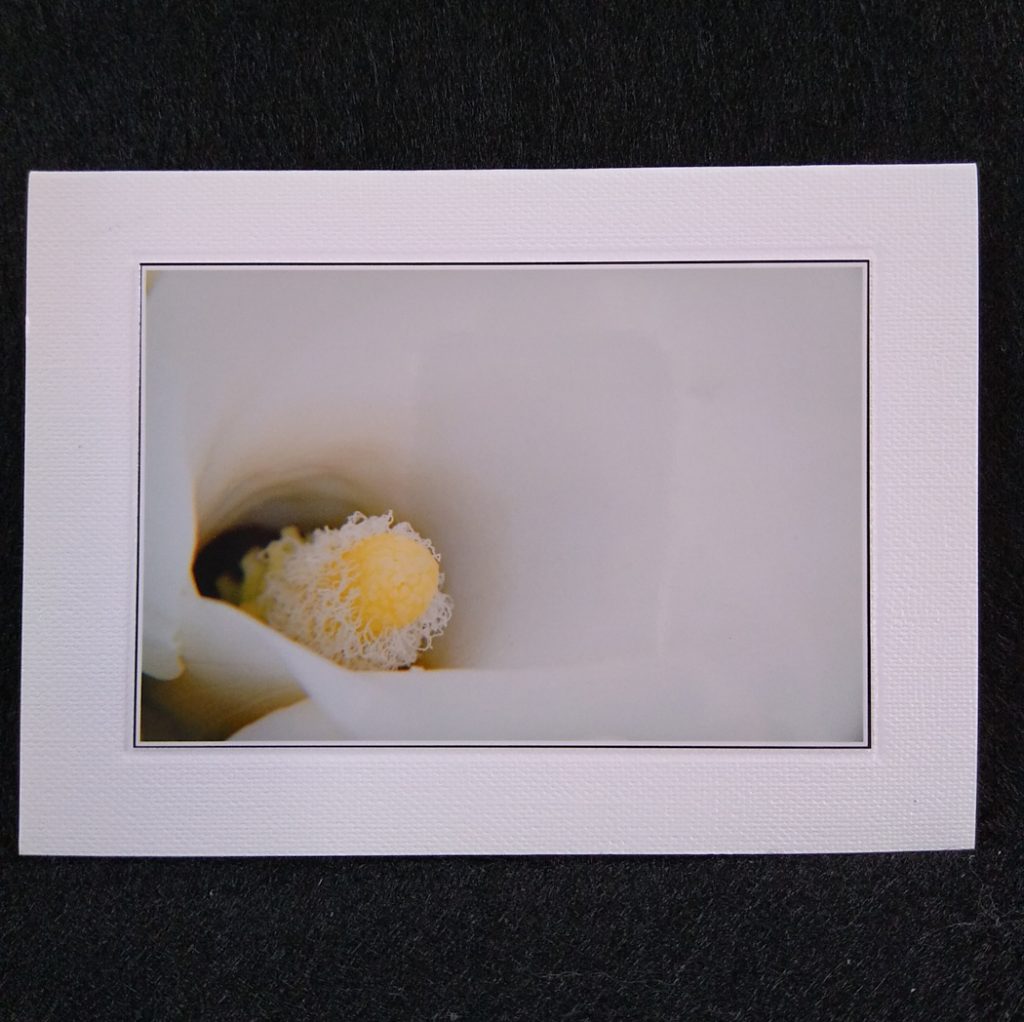 A6 card