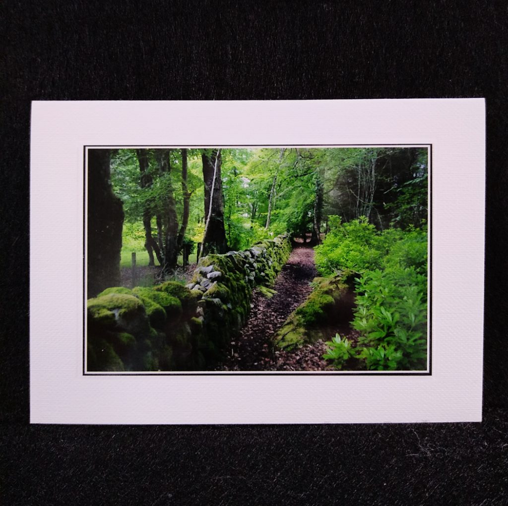 A6 card