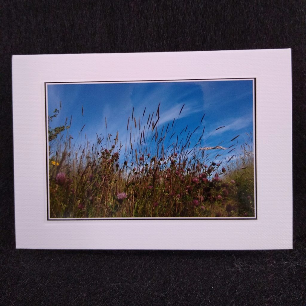 A6 card