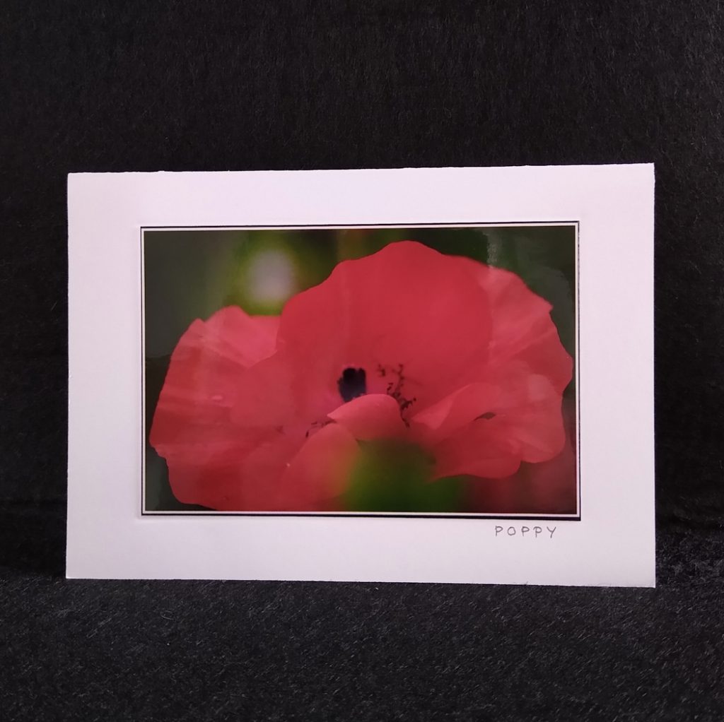 A6 card