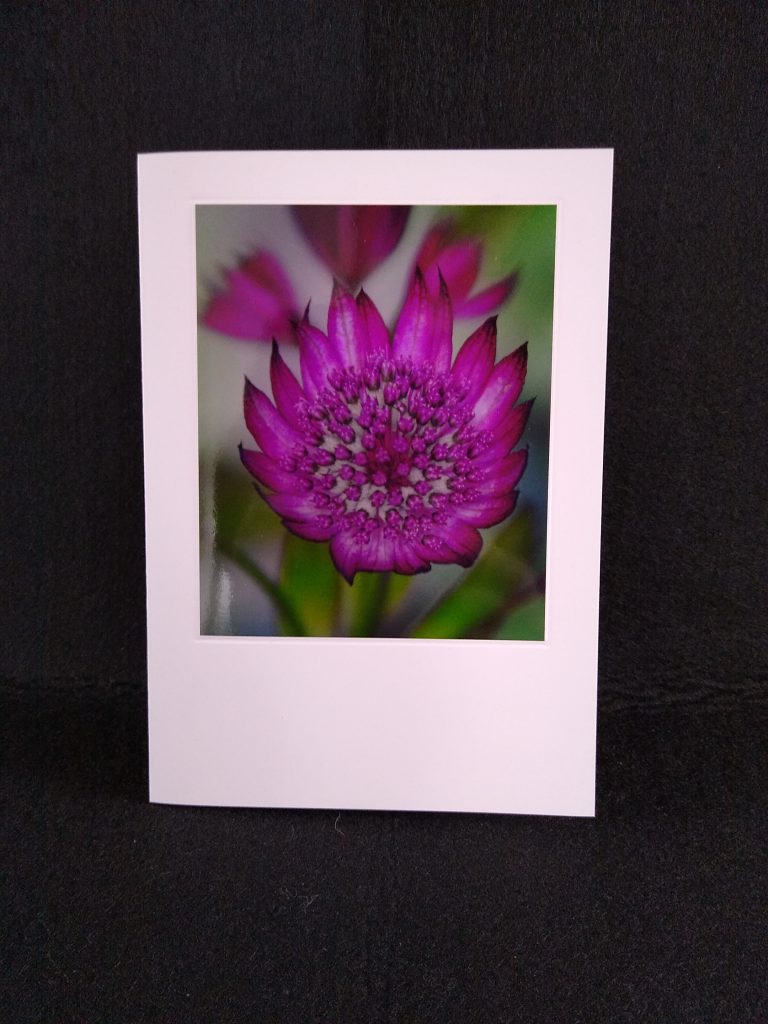 A5 card
