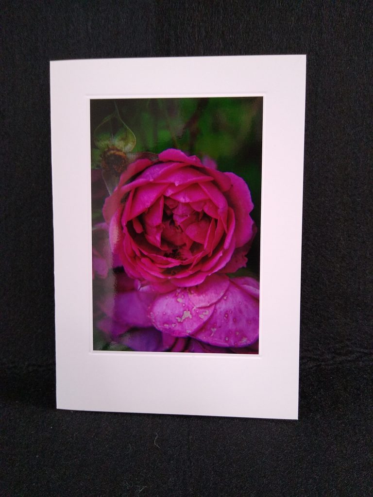 A5 card