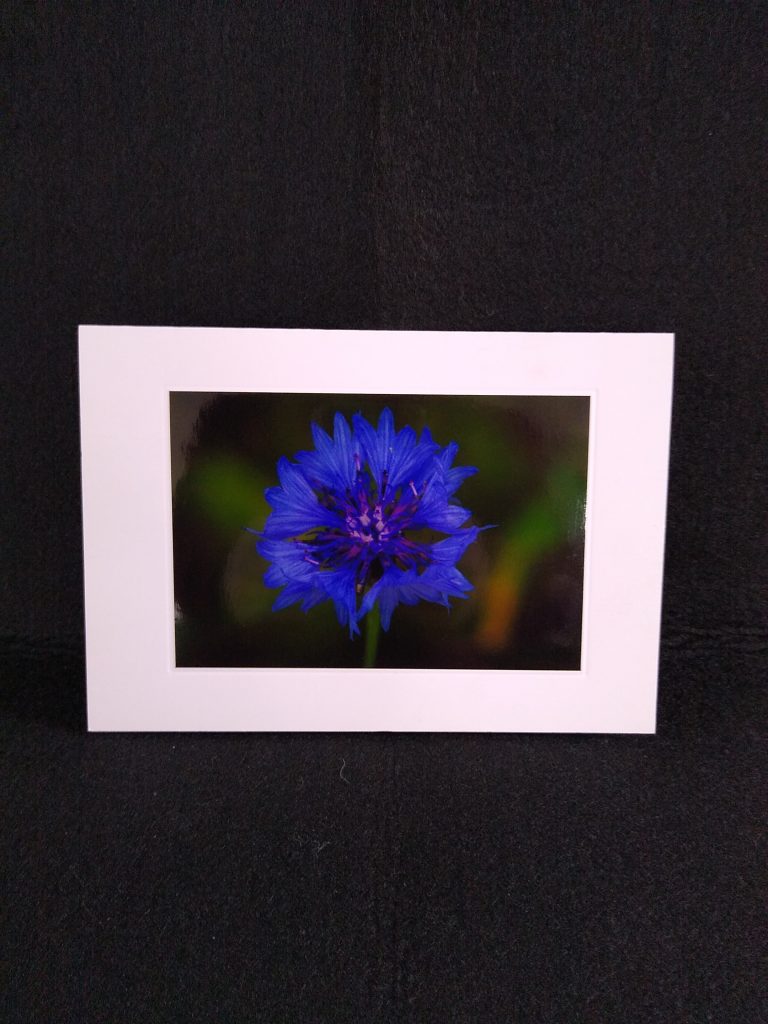 A5 card