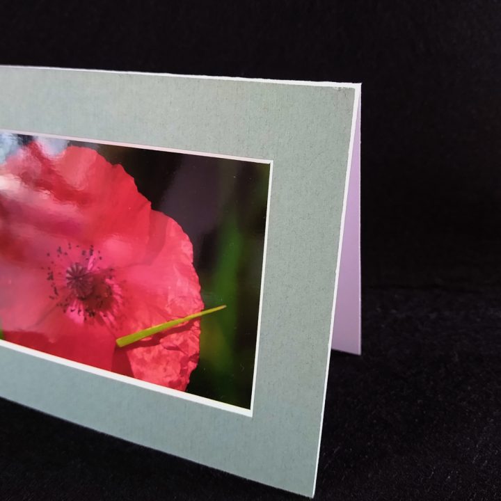 A6 recessed mount card